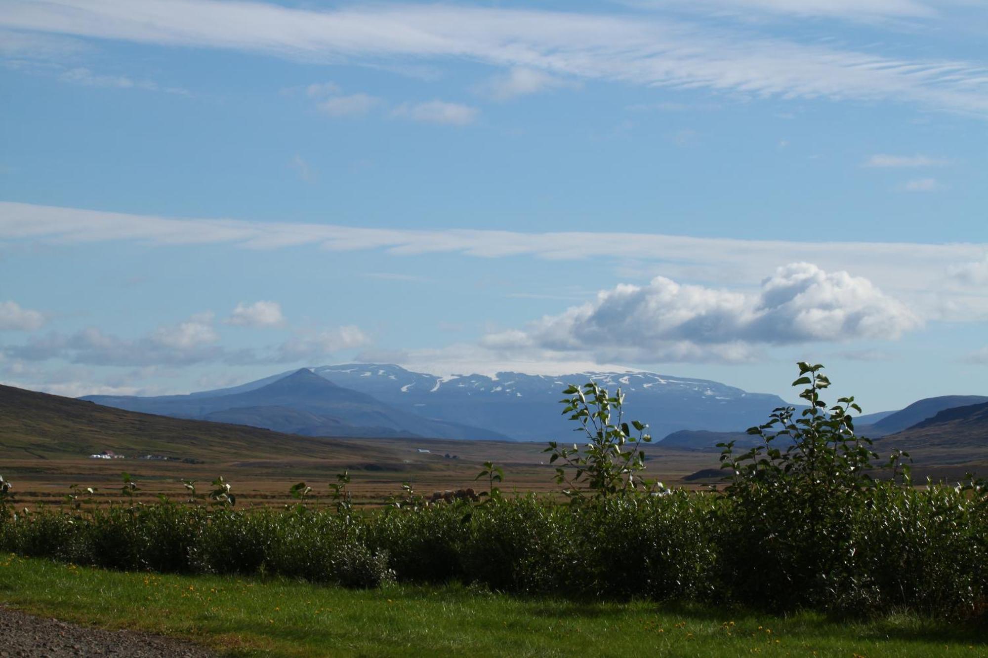 Guesthouse Steindorsstadir, West Iceland Reykholt  Bagian luar foto