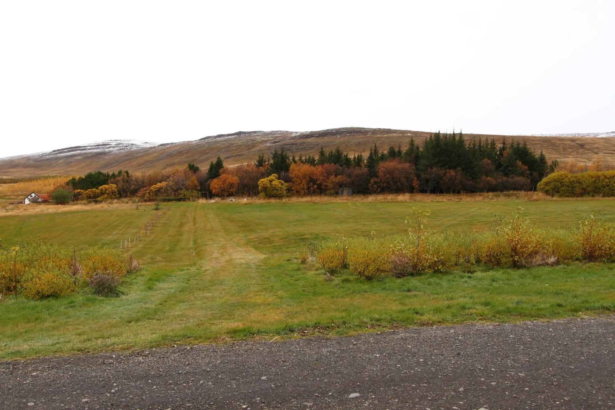 Guesthouse Steindorsstadir, West Iceland Reykholt  Bagian luar foto