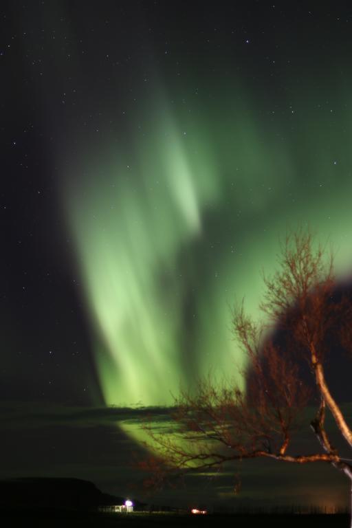 Guesthouse Steindorsstadir, West Iceland Reykholt  Bagian luar foto