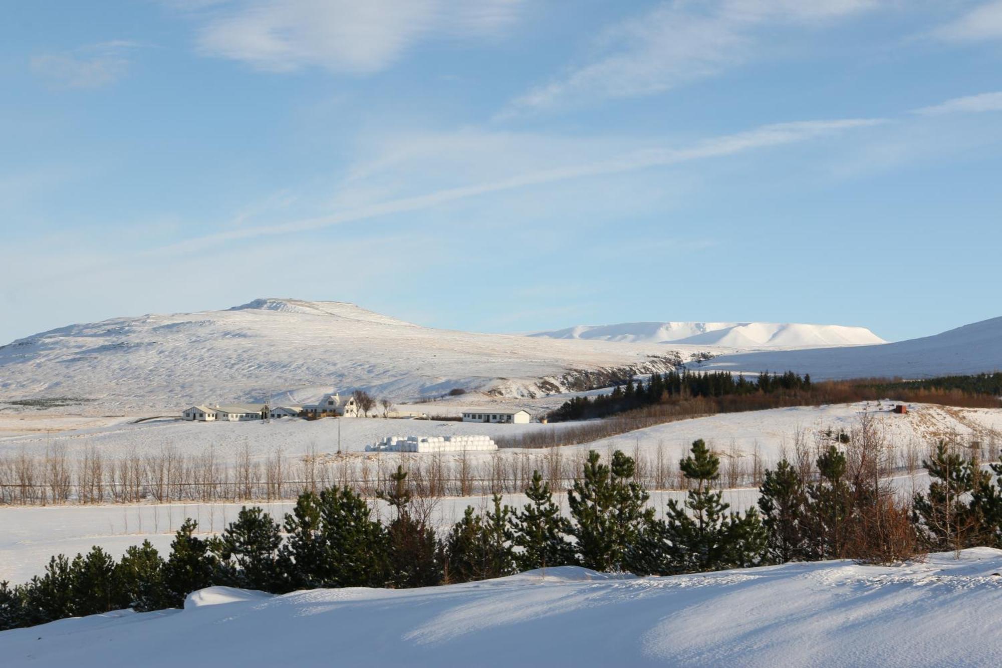 Guesthouse Steindorsstadir, West Iceland Reykholt  Bagian luar foto